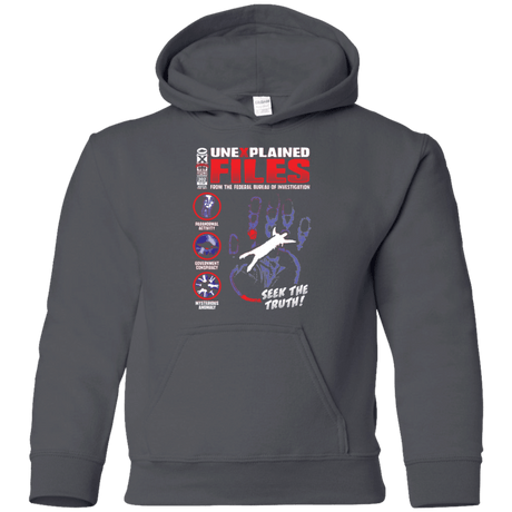 Sweatshirts Charcoal / YS Unexplained Files Youth Hoodie