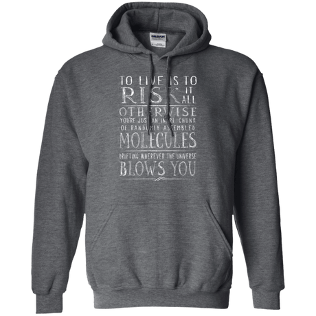 Sweatshirts Dark Heather / Small Universe Blows Pullover Hoodie