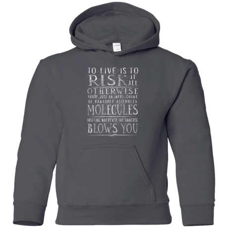 Sweatshirts Charcoal / YS Universe Blows Youth Hoodie