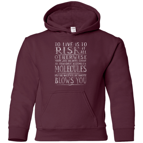 Sweatshirts Maroon / YS Universe Blows Youth Hoodie
