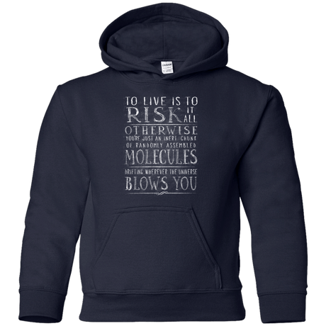 Sweatshirts Navy / YS Universe Blows Youth Hoodie