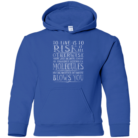 Sweatshirts Royal / YS Universe Blows Youth Hoodie