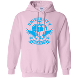 Sweatshirts Light Pink / Small University of Hearts Pullover Hoodie