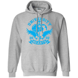 Sweatshirts Sport Grey / Small University of Hearts Pullover Hoodie