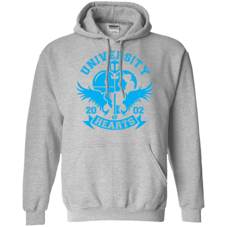 Sweatshirts Sport Grey / Small University of Hearts Pullover Hoodie