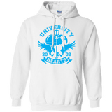Sweatshirts White / Small University of Hearts Pullover Hoodie