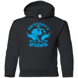 Sweatshirts Black / YS University of Hearts Youth Hoodie