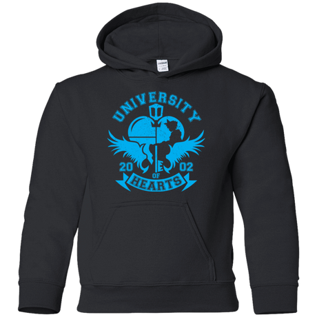 Sweatshirts Black / YS University of Hearts Youth Hoodie