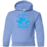 Sweatshirts Carolina Blue / YS University of Hearts Youth Hoodie