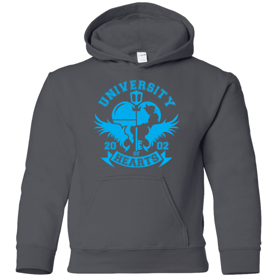 Sweatshirts Charcoal / YS University of Hearts Youth Hoodie