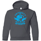 Sweatshirts Charcoal / YS University of Hearts Youth Hoodie