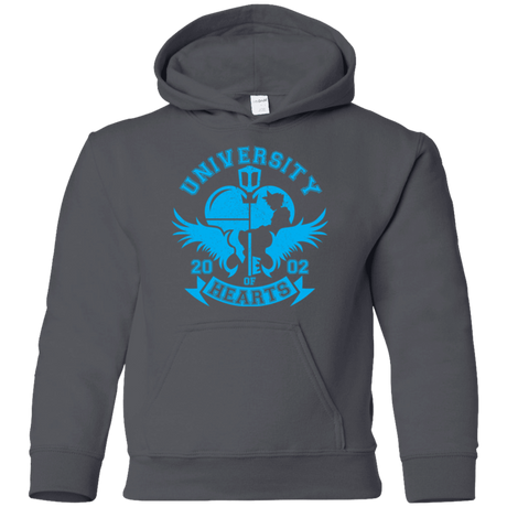 Sweatshirts Charcoal / YS University of Hearts Youth Hoodie
