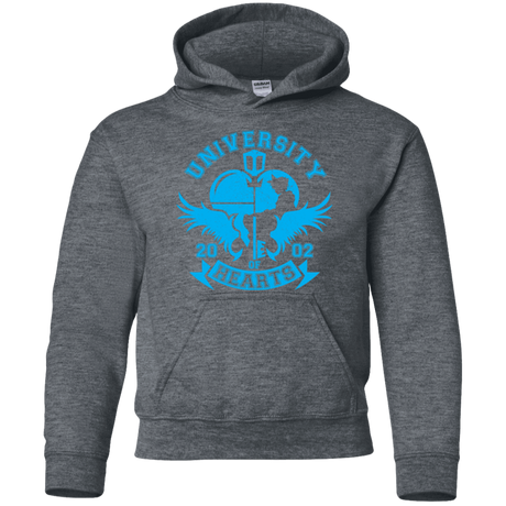 Sweatshirts Dark Heather / YS University of Hearts Youth Hoodie