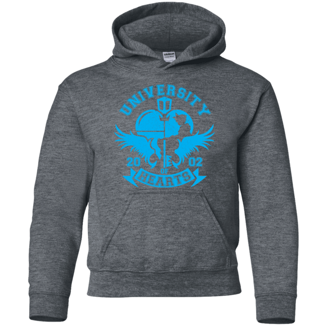 Sweatshirts Dark Heather / YS University of Hearts Youth Hoodie