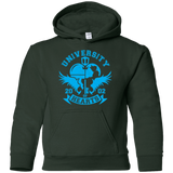 Sweatshirts Forest Green / YS University of Hearts Youth Hoodie