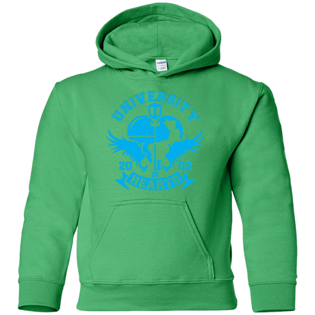 Sweatshirts Irish Green / YS University of Hearts Youth Hoodie