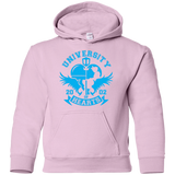 Sweatshirts Light Pink / YS University of Hearts Youth Hoodie