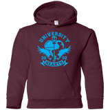 Sweatshirts Maroon / YS University of Hearts Youth Hoodie