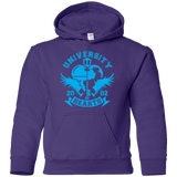 Sweatshirts Purple / YS University of Hearts Youth Hoodie