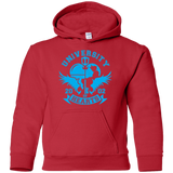 Sweatshirts Red / YS University of Hearts Youth Hoodie