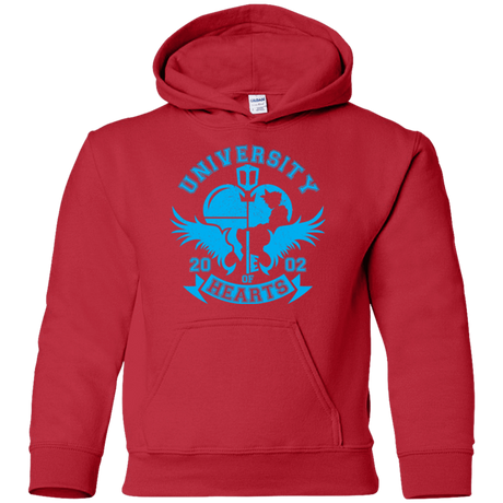 Sweatshirts Red / YS University of Hearts Youth Hoodie