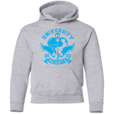 Sweatshirts Sport Grey / YS University of Hearts Youth Hoodie