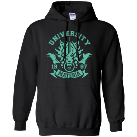 Sweatshirts Black / Small University of Materia Pullover Hoodie