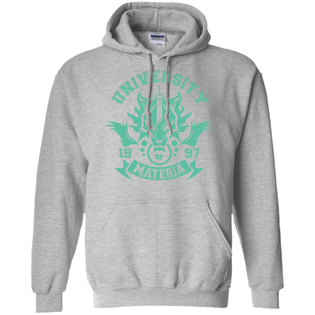 Sweatshirts Sport Grey / Small University of Materia Pullover Hoodie