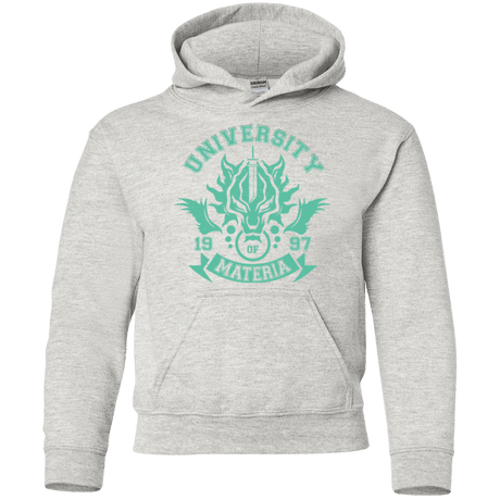 Sweatshirts Ash / YS University of Materia Youth Hoodie