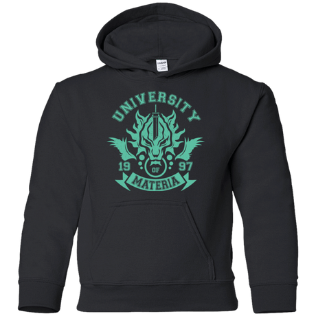 Sweatshirts Black / YS University of Materia Youth Hoodie