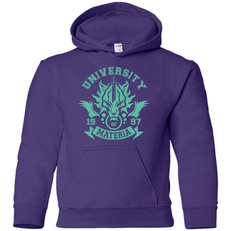 Sweatshirts Purple / YS University of Materia Youth Hoodie