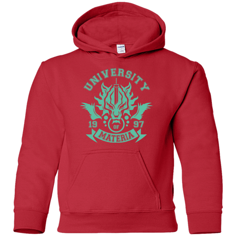 Sweatshirts Red / YS University of Materia Youth Hoodie