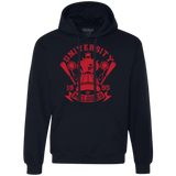 Sweatshirts Navy / Small University of Melodies Premium Fleece Hoodie