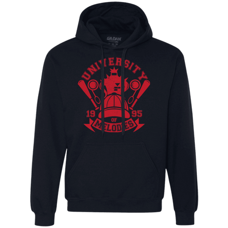 Sweatshirts Navy / Small University of Melodies Premium Fleece Hoodie