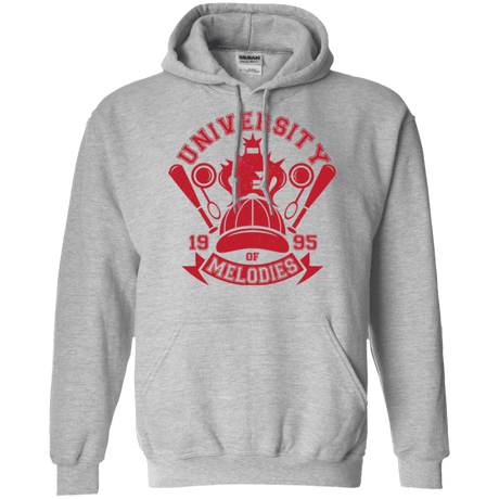Sweatshirts Sport Grey / Small University of Melodies Pullover Hoodie