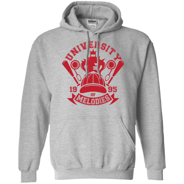 Sweatshirts Sport Grey / Small University of Melodies Pullover Hoodie