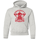 Sweatshirts Ash / YS University of Melodies Youth Hoodie
