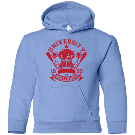 Sweatshirts Carolina Blue / YS University of Melodies Youth Hoodie