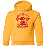Sweatshirts Gold / YS University of Melodies Youth Hoodie