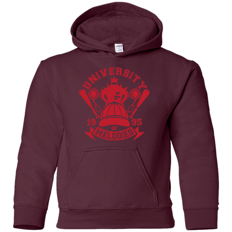 Sweatshirts Maroon / YS University of Melodies Youth Hoodie
