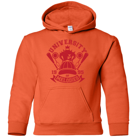 Sweatshirts Orange / YS University of Melodies Youth Hoodie