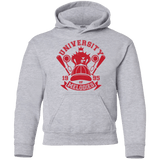 Sweatshirts Sport Grey / YS University of Melodies Youth Hoodie