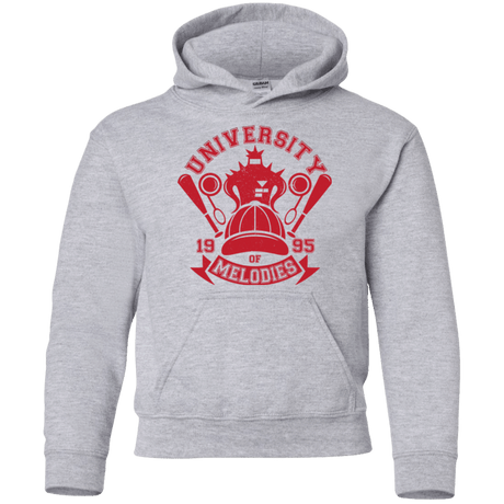 Sweatshirts Sport Grey / YS University of Melodies Youth Hoodie