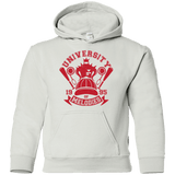 Sweatshirts White / YS University of Melodies Youth Hoodie