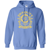 Sweatshirts Carolina Blue / Small University of Wasteland Pullover Hoodie