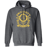 Sweatshirts Dark Heather / Small University of Wasteland Pullover Hoodie