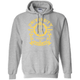 Sweatshirts Sport Grey / Small University of Wasteland Pullover Hoodie