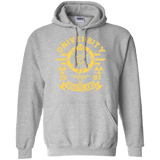 Sweatshirts Sport Grey / Small University of Wasteland Pullover Hoodie