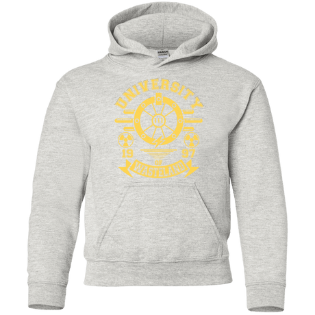 Sweatshirts Ash / YS University of Wasteland Youth Hoodie