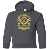 Sweatshirts Charcoal / YS University of Wasteland Youth Hoodie